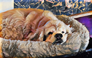 Original Print of your Precious Pet (s)