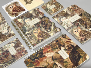 Art Journal   - Owls
