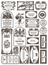 Load image into Gallery viewer, IOD, Iron Orchid Designs, Paint Inlay, Floriography, Floral, New for Summer 2025