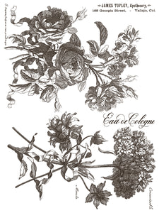 IOD, Iron Orchid Designs, Paint Inlay, Floriography, Floral, New for Summer 2025