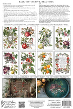 Load image into Gallery viewer, IOD, Iron Orchid Designs Holiday Release 2025 Clementine Transfer Pad
