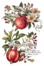 Load image into Gallery viewer, IOD, Iron Orchid Designs Holiday Release 2025 Clementine Transfer Pad