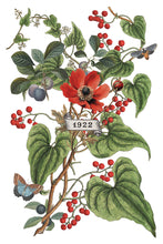 Load image into Gallery viewer, IOD, Iron Orchid Designs Holiday Release 2025 Clementine Transfer Pad