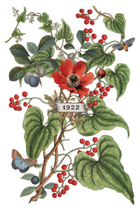 IOD, Iron Orchid Designs Holiday Release 2025 Clementine Transfer Pad