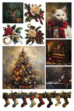 Load image into Gallery viewer, 2024 IOD Iron Orchid Designs Crimson Velvet Transfer Pad Limited Release