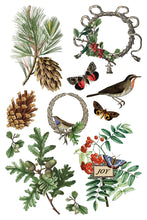Load image into Gallery viewer, IOD, Iron Orchid Designs Holiday Release 2025 Winter Botanist