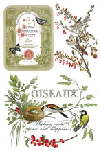 Load image into Gallery viewer, IOD, Iron Orchid Designs Holiday Release 2025 Winter Botanist