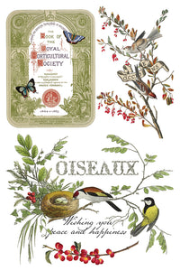 IOD, Iron Orchid Designs Holiday Release 2025 Winter Botanist
