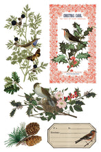 Load image into Gallery viewer, IOD, Iron Orchid Designs Holiday Release 2025 Winter Botanist