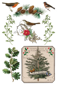 IOD, Iron Orchid Designs Holiday Release 2025 Winter Botanist
