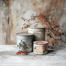 Load image into Gallery viewer, IOD, Iron Orchid Designs Holiday Release 2025 Winter Botanist
