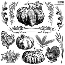 Load image into Gallery viewer, IOD Iron Orchid Designs Stamp 2025 Holiday Release Autumn Blessings