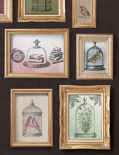 Load image into Gallery viewer, IOD, Iron Orchid Designs, New for 2024, Pastiche Stamp, Double set