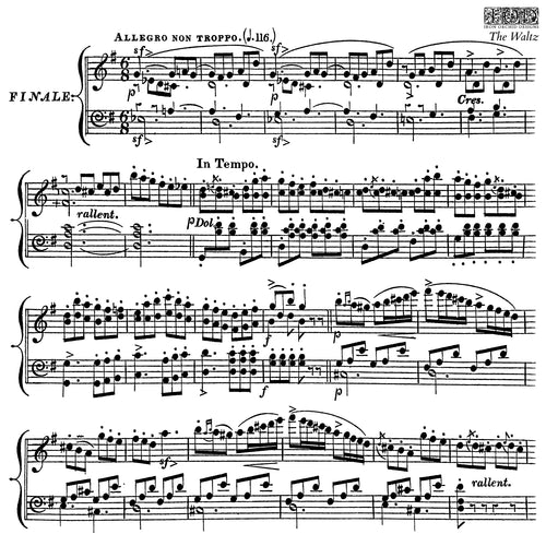 IOD,, Iron Orchid Designs, Stamp The Waltz, Musical Notes New for Summer 2025