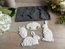 Load image into Gallery viewer, Les Lapins Bunny Mould by IOD