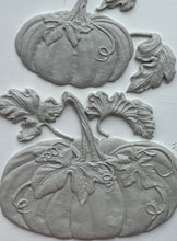 Load image into Gallery viewer, Hello Pumpkin Mould from Iron Orchid Designs, Mold