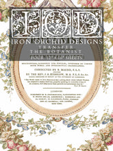 Load image into Gallery viewer, 2023 New Release The Botanist Transfer Pad IOD Iron Orchid Designs