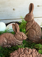 Load image into Gallery viewer, Les Lapins Bunny Mould by IOD