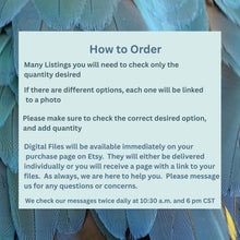 Load image into Gallery viewer, Patriotic Png Eagle Sublimation Bundle Usa Watercolor America 250 Independence Day 4th July Digital Download Instant Transfer Shirt File Red __etsy:7994371756