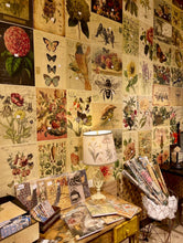 Load image into Gallery viewer, Assorted 11" x 17"   50 Piece Birds, Nests &amp; Florals