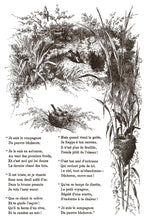 Load image into Gallery viewer, Iod Paint Inlay Little Lark – Vintage Bird &amp; Botanical Transfer