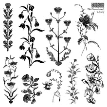 Load image into Gallery viewer, Junk Journal Stamp Set Vintage Literary Collection Iron Orchid Designs Labels Apothecary Inspired Stamps Victorian Typography Elements Botanical Motif Designs Antique Bookplate Stamps Mixed Media Supplies Ornate Border Designs Classic