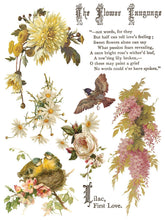 Load image into Gallery viewer, Furniture Transfer Decal – Vintage Botanical Rubon Flowers by Poets