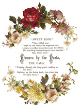 Load image into Gallery viewer, Furniture Transfer Decal – Vintage Botanical Rubon Flowers by Poets