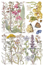 Load image into Gallery viewer, Furniture Transfer – Iod Primrose Isle Botanical Wildflower Summer 2026
