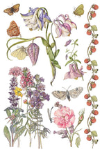 Load image into Gallery viewer, Furniture Transfer – Iod Primrose Isle Botanical Wildflower Summer 2026