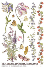 Load image into Gallery viewer, Furniture Transfer – Iod Primrose Isle Botanical Wildflower Summer 2026