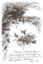 Load image into Gallery viewer, Iod Paint Inlay Little Lark – Vintage Bird &amp; Botanical Transfer