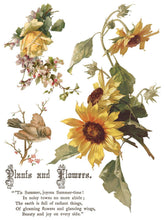 Load image into Gallery viewer, Furniture Transfer Decal – Vintage Botanical Rubon Flowers by Poets