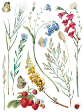 Load image into Gallery viewer, Furniture Transfer Iod Marché Des Fleurs – Vintage Botanical Rubon