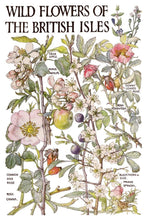 Load image into Gallery viewer, Primrose Isle Collection IOD Botanical Transfer British Wildflower Vintage Design Furniture Rub On Transfer Sheets Foxglove Primrose Strawberry Butterfly Moth Elements Cottagecore Shabby Chic Farmhouse Style DIY Furniture Makeover Projects