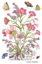 Load image into Gallery viewer, Furniture Transfer – Iod Primrose Isle Botanical Wildflower Summer 2026