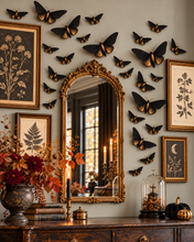 Load image into Gallery viewer, Styling inspiration: moth wall décor around an antique mirror and botanical prints; illustrative styling image