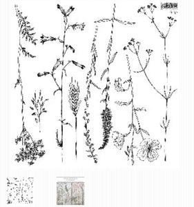 IOD Iron Orchid Sprigs Stamp