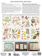 Load image into Gallery viewer, NEW RELEASE FOR SUMMER 2022*** Whispering Willows Transfer Pad IOD Iron Orchid Designs
