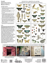 Load image into Gallery viewer, IOD Iron Orchid Designs Entomology Etcetera Transfer Pad