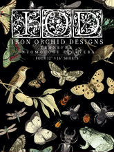 Load image into Gallery viewer, IOD Iron Orchid Designs Entomology Etcetera Transfer Pad