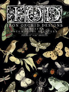 IOD Iron Orchid Designs Entomology Etcetera Transfer Pad