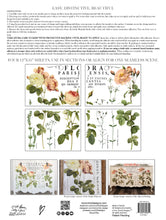 Load image into Gallery viewer, IOD Iron Orchid Designs Flora Parisiennes Transfer Pad of Roses