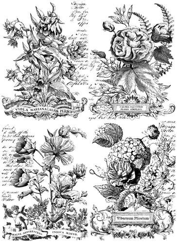 Retired!  Iron Orchid Transfer IOD Paintable Transfer Classic Bouquets
