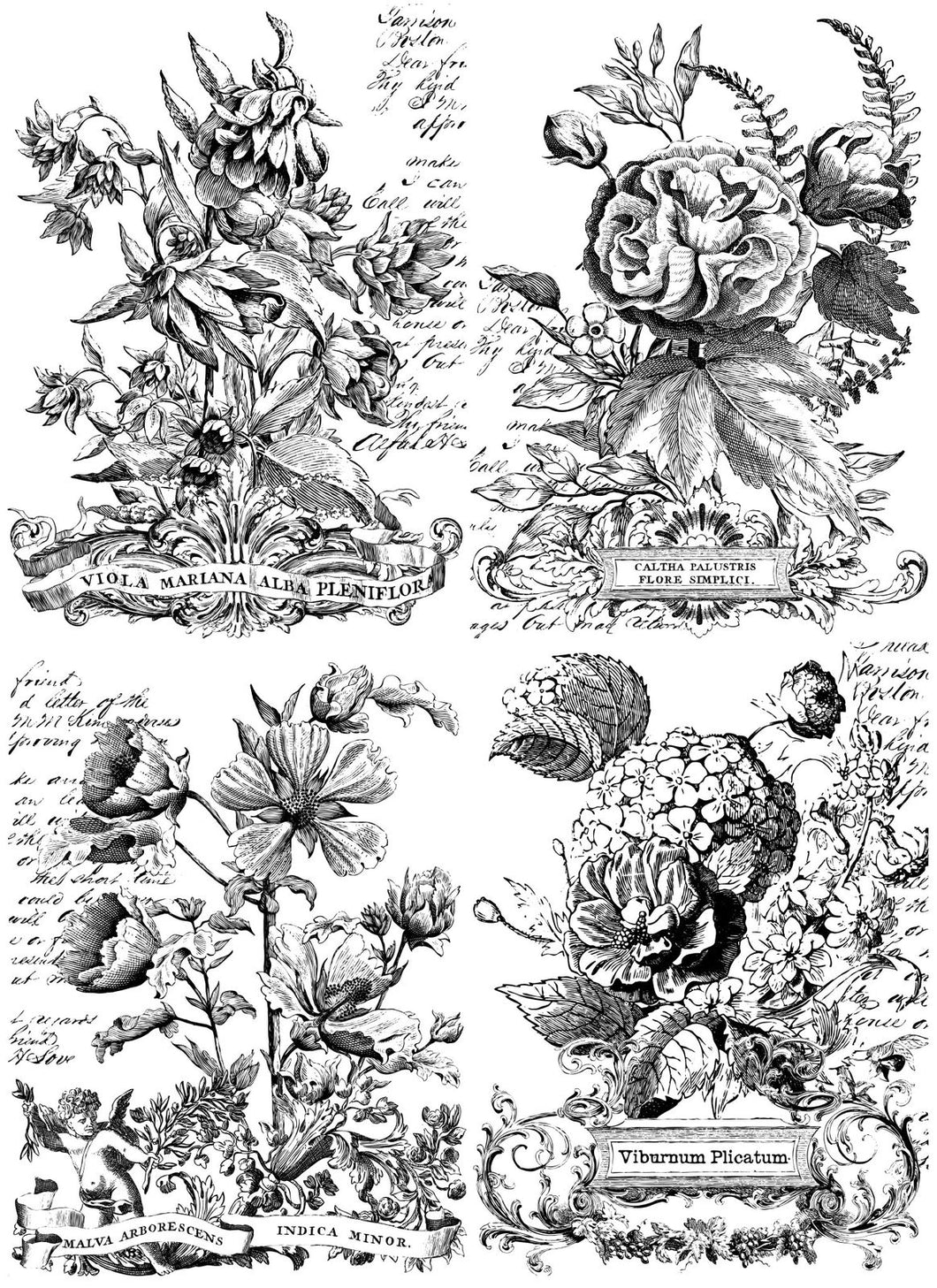 Retired!  Iron Orchid Transfer IOD Paintable Transfer Classic Bouquets