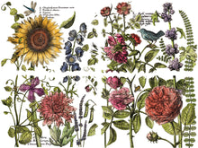 Load image into Gallery viewer, IOD Iron Orchid Designs Botanist Journal Transfer