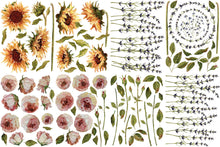 Load image into Gallery viewer, Iron Orchid Designs, IOD Painterly Floral Florals Roses and Sunflowers Transfers
