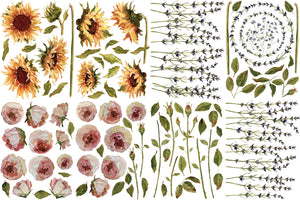 Iron Orchid Designs, IOD Painterly Floral Florals Roses and Sunflowers Transfers