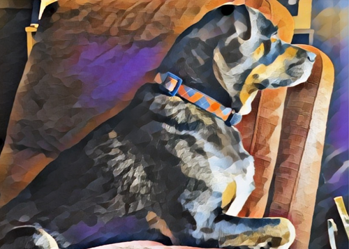 Original Print of your Precious Pet (s)