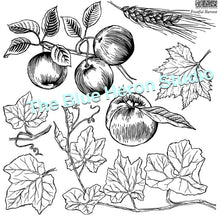 Load image into Gallery viewer, Retired Limited Edition Fruitful Harvest IOD Stamp Iron Orchid Designs